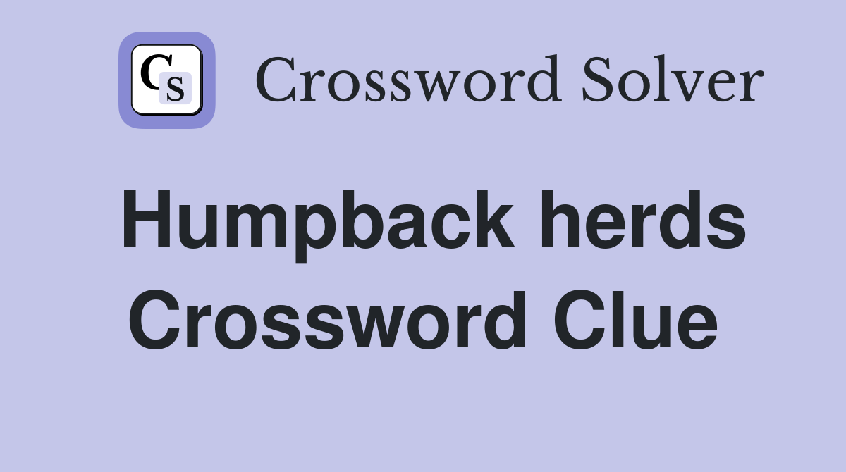 Humpback herds Crossword Clue
