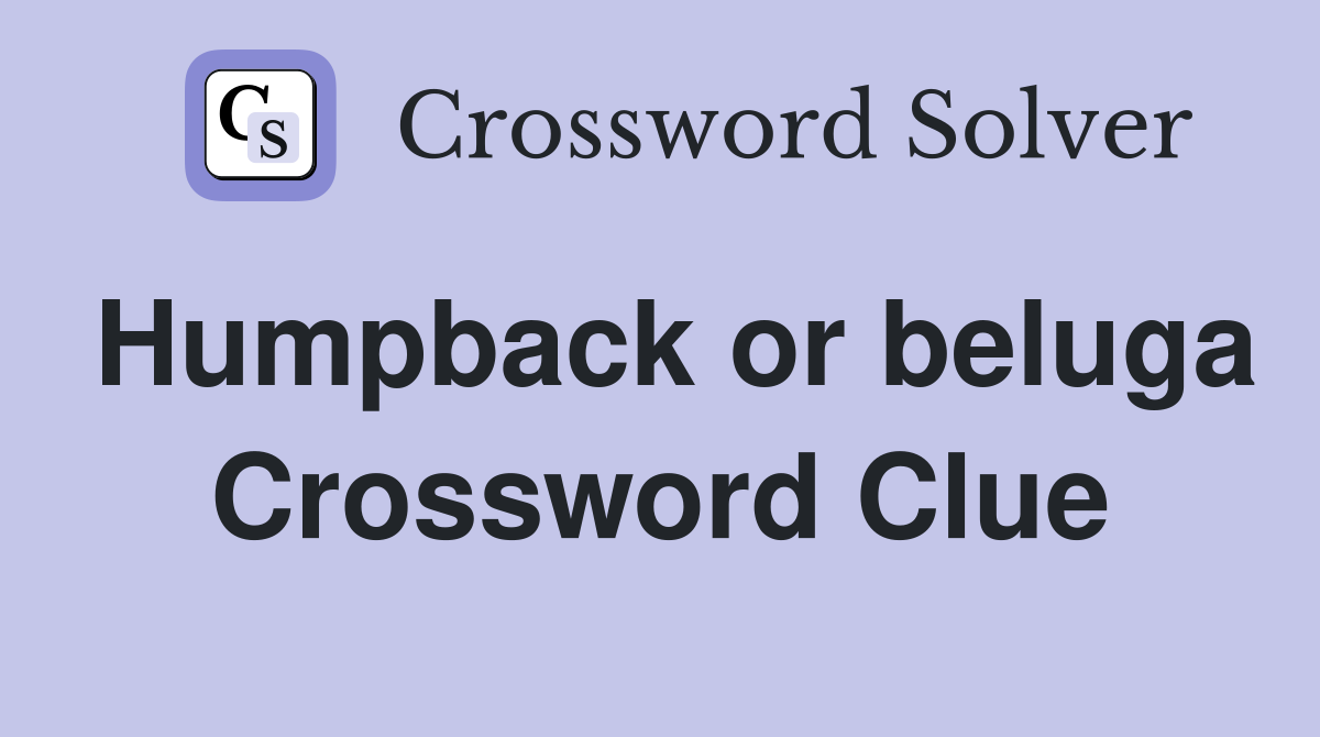 Humpback or beluga Crossword Clue