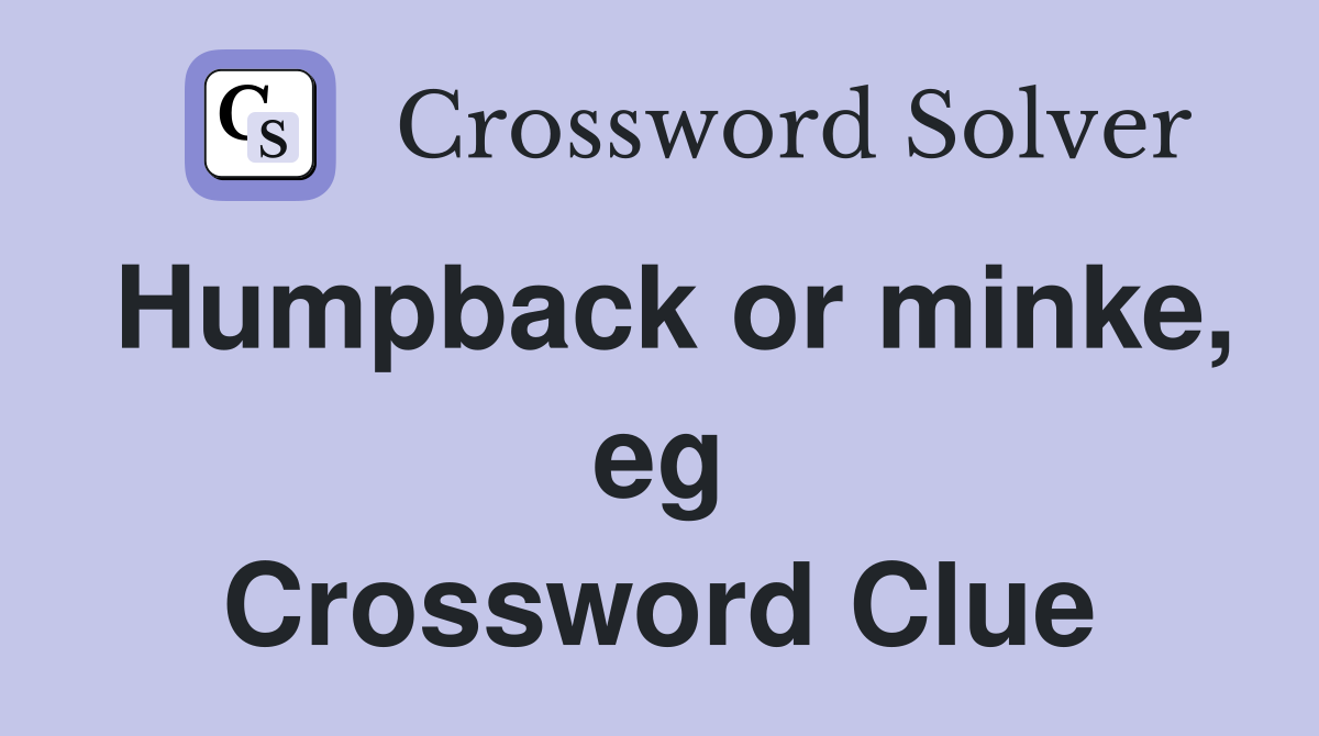 Humpback or minke, eg Crossword Clue