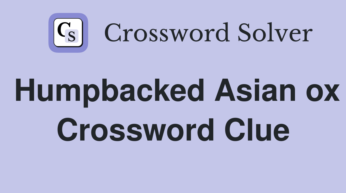 Humpbacked Asian ox Crossword Clue