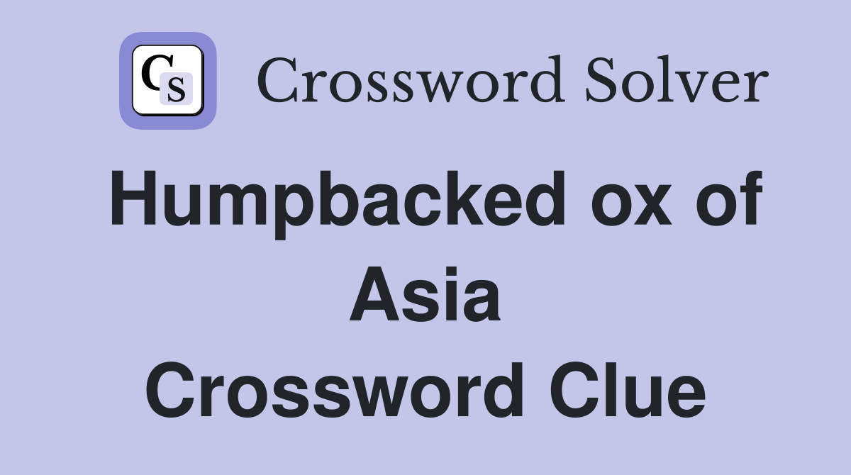 Humpbacked ox of Asia Crossword Clue