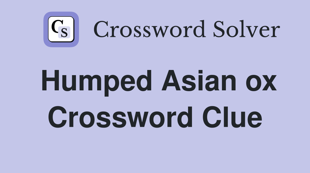 Humped Asian ox Crossword Clue