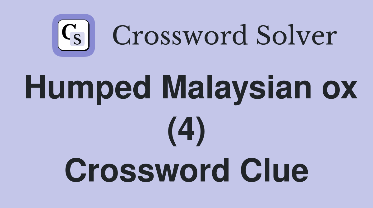 Humped Malaysian ox (4) Crossword Clue