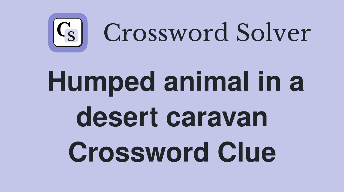 Humped animal in a desert caravan Crossword Clue