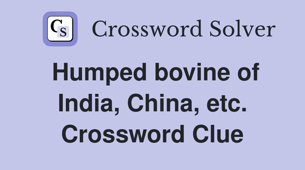 Humped bovine of India, China, etc. Crossword Clue