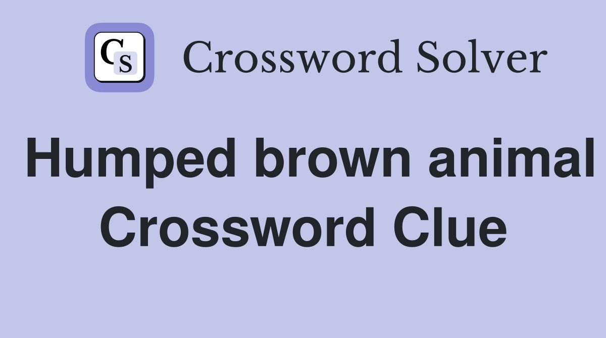 Humped brown animal Crossword Clue