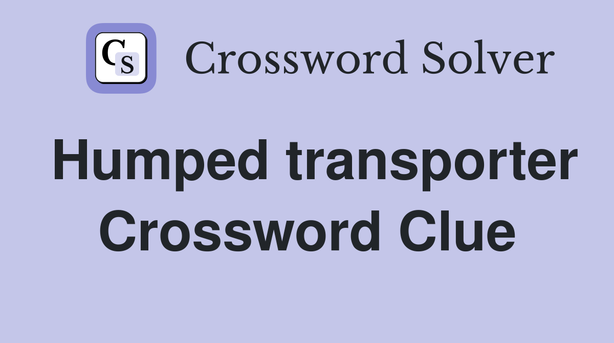 Humped transporter Crossword Clue