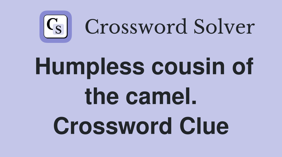 Humpless cousin of the camel. Crossword Clue