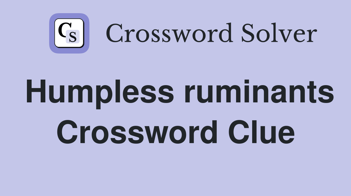 Humpless ruminants Crossword Clue
