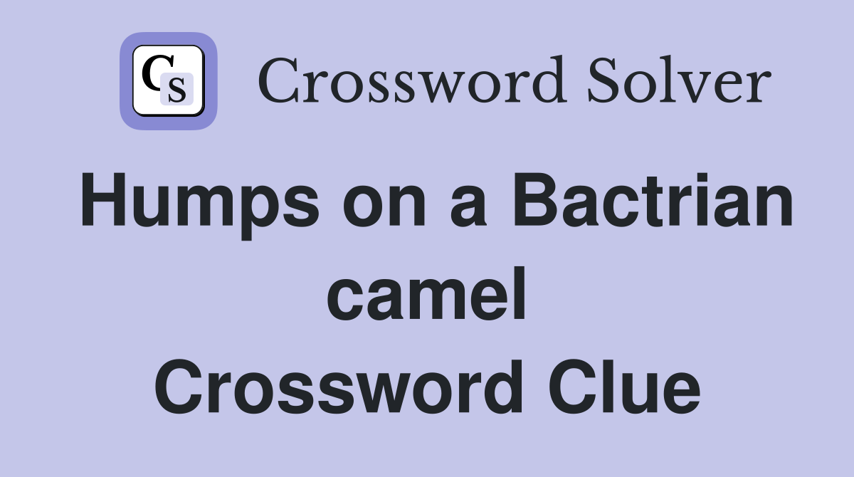 Humps on a Bactrian camel Crossword Clue