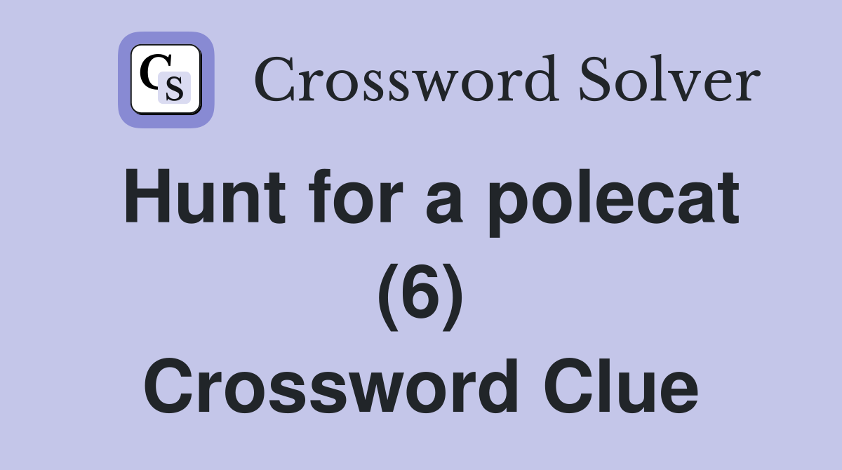 Hunt for a polecat (6) Crossword Clue