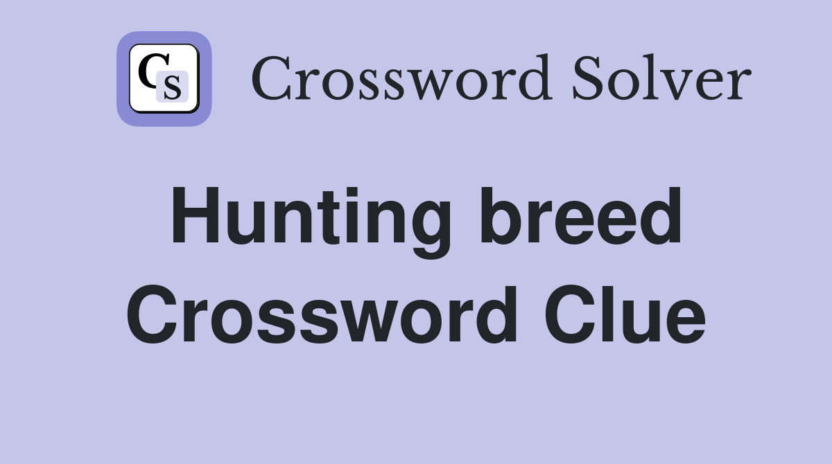 Hunting breed Crossword Clue