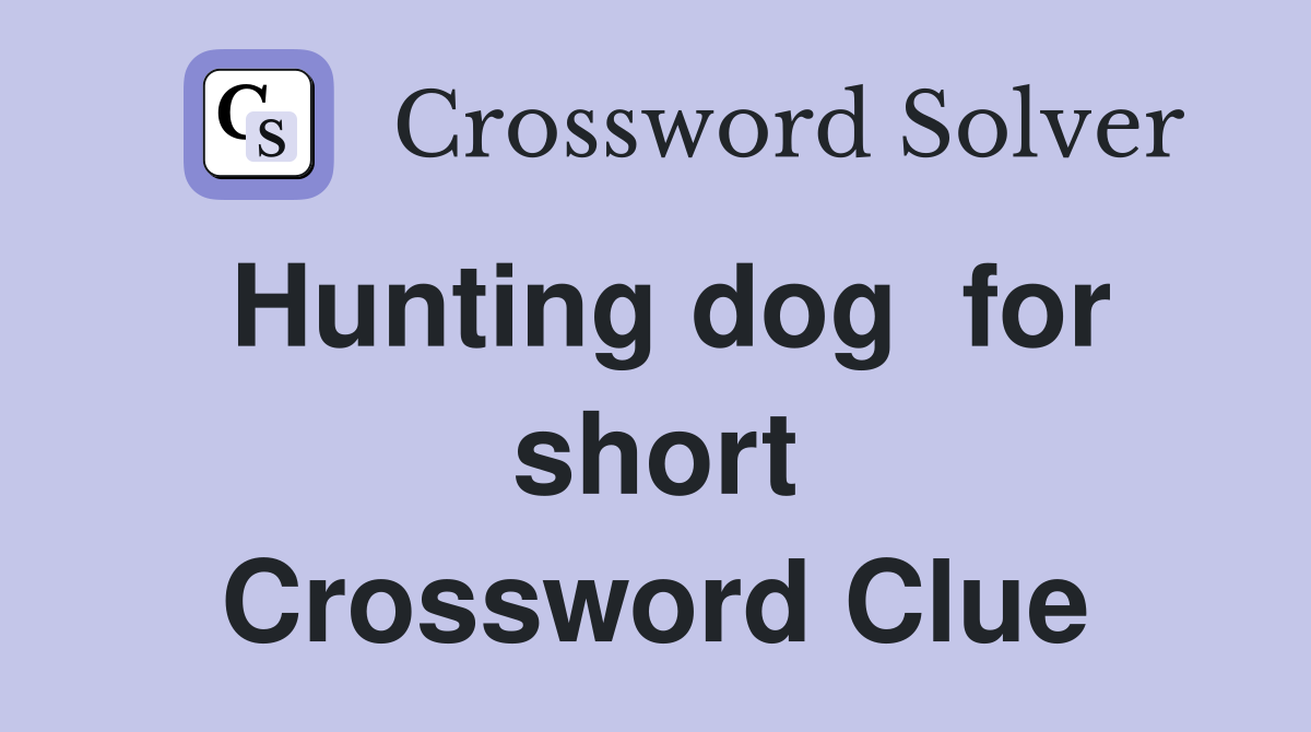 Hunting dog  for short Crossword Clue