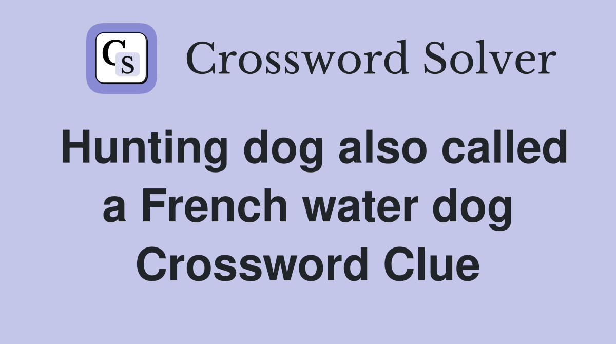 Hunting dog also called a French water dog Crossword Clue