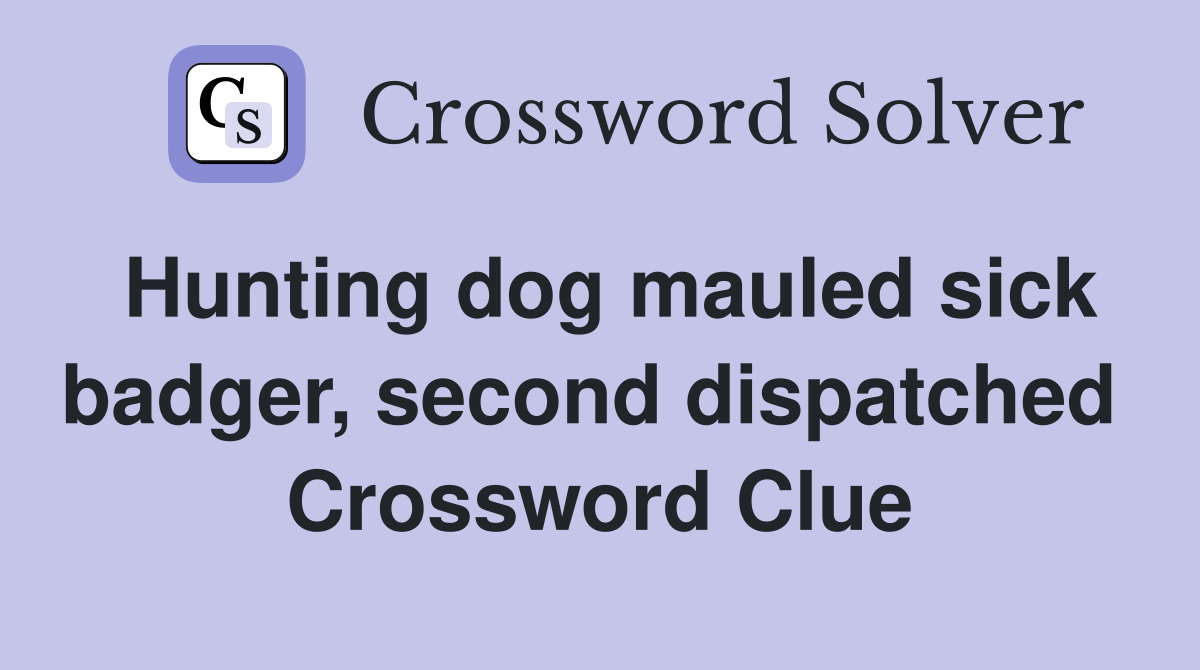 Hunting dog mauled sick badger, second dispatched  Crossword Clue