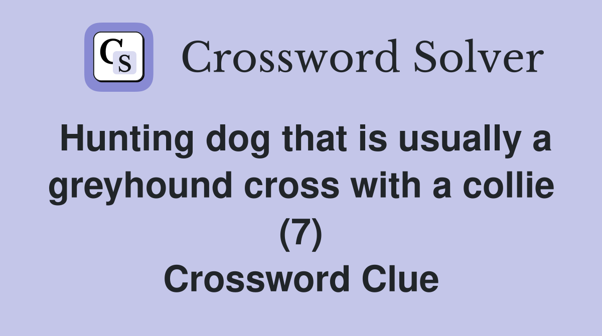 Hunting dog that is usually a greyhound cross with a collie (7) Crossword Clue