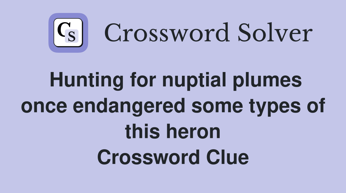 Hunting for nuptial plumes once endangered some types of this heron Crossword Clue