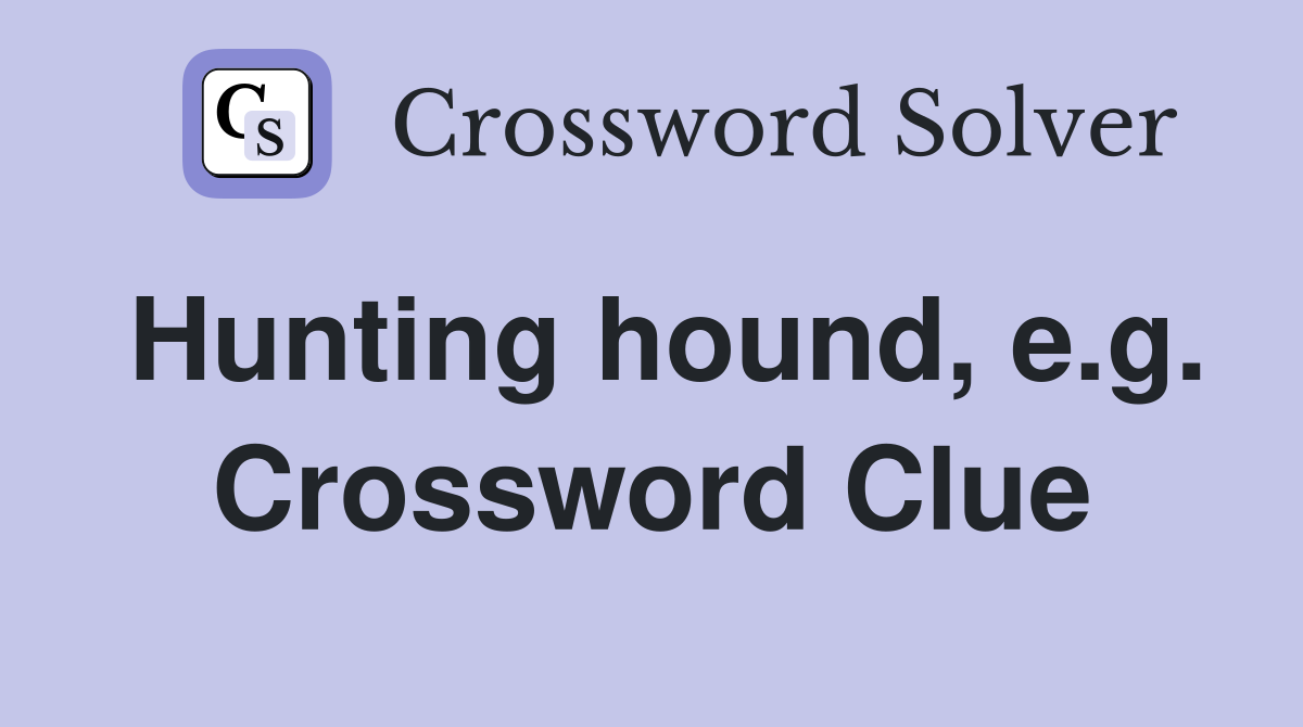 Hunting hound, e.g. Crossword Clue