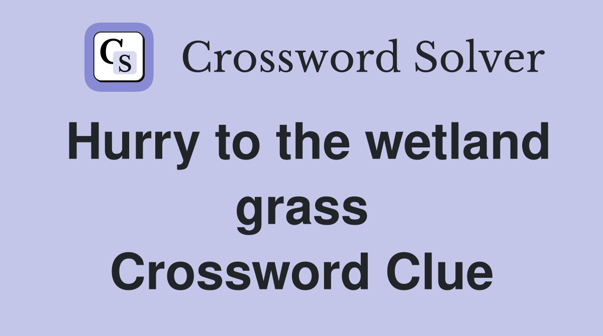 Hurry to the wetland grass Crossword Clue