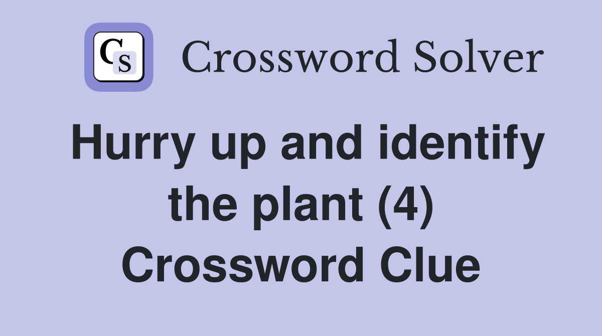 Hurry up and identify the plant (4) Crossword Clue