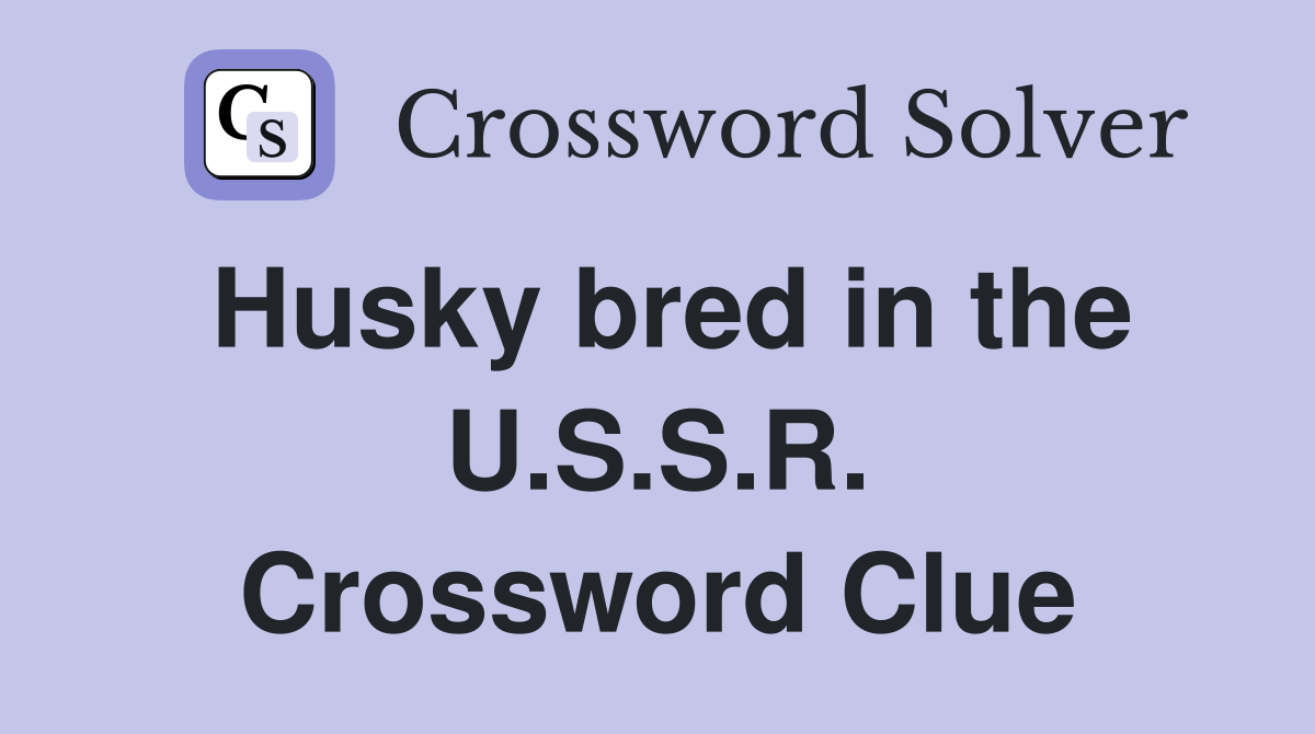 Husky bred in the U.S.S.R. Crossword Clue