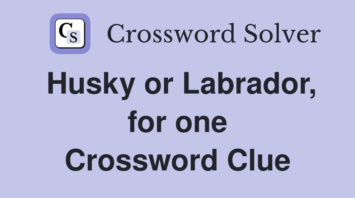Husky or Labrador, for one Crossword Clue