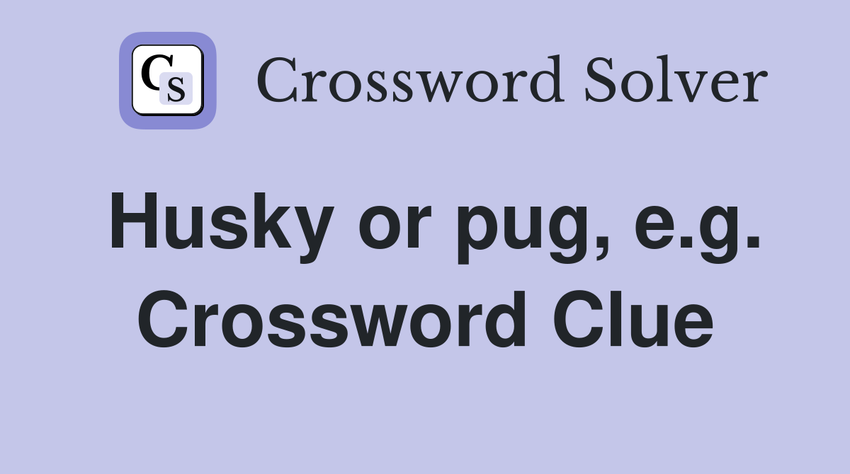 Husky or pug, e.g. Crossword Clue