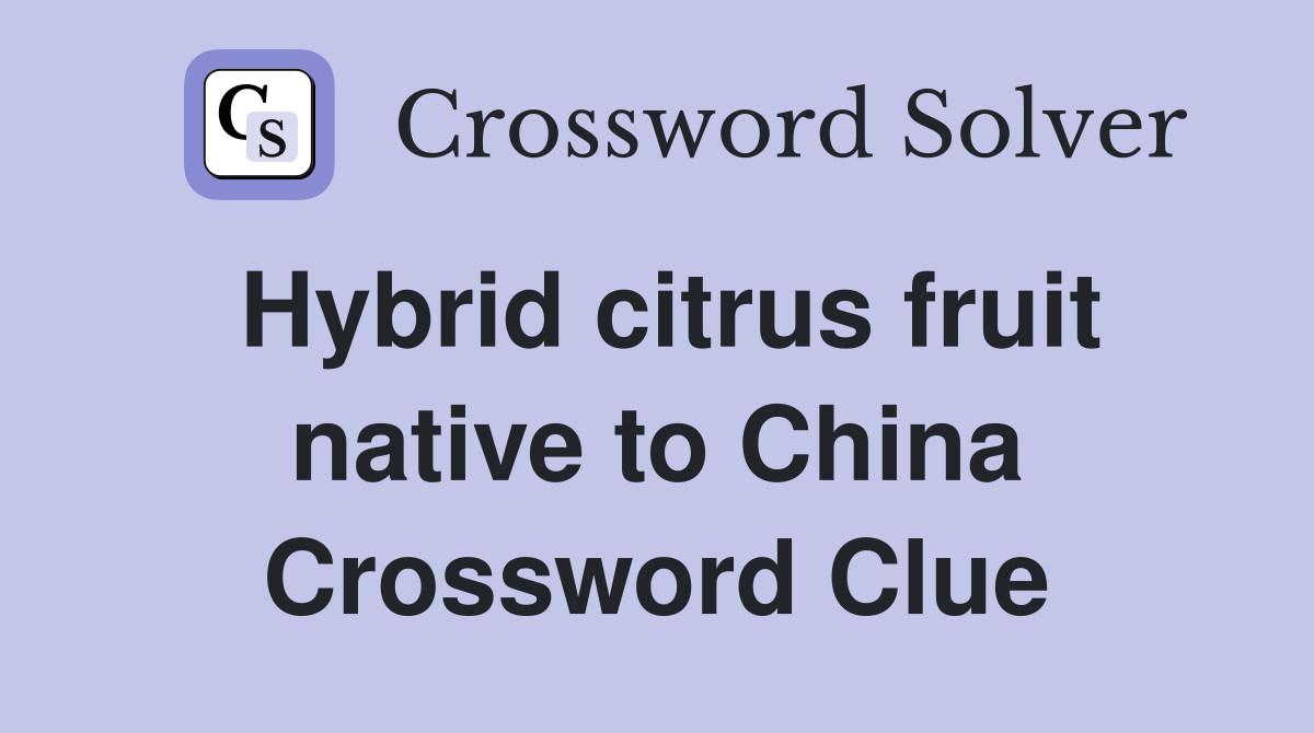 Hybrid citrus fruit native to China Crossword Clue