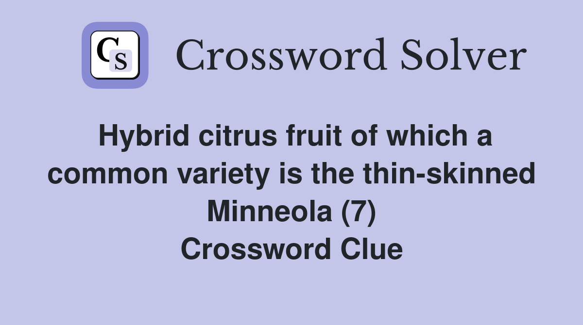 Hybrid citrus fruit of which a common variety is the thin-skinned Minneola (7) Crossword Clue