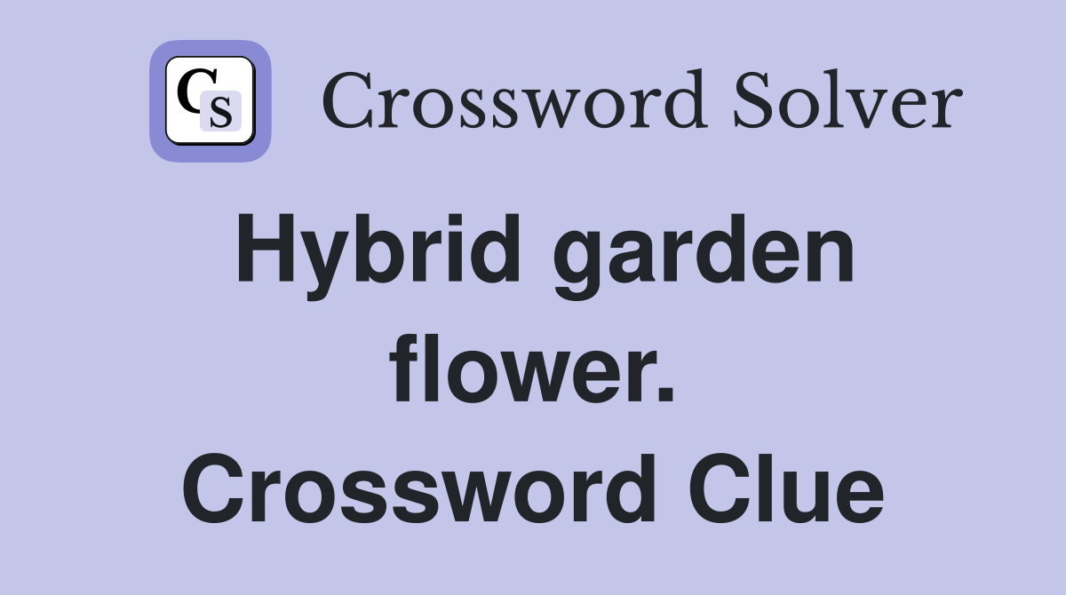 Hybrid garden flower. Crossword Clue