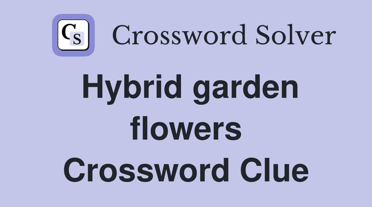 Hybrid garden flowers Crossword Clue
