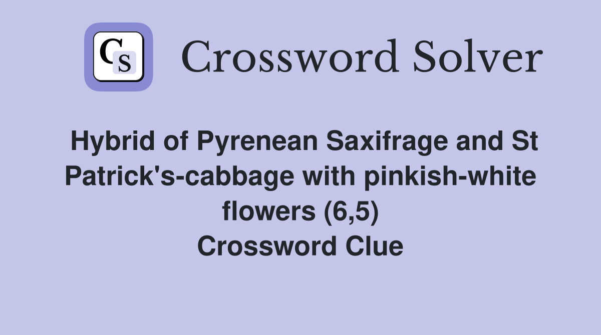 Hybrid of Pyrenean Saxifrage and St Patrick's-cabbage with pinkish-white flowers (6,5) Crossword Clue