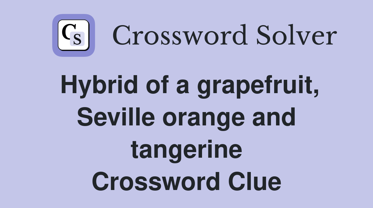 Hybrid of a grapefruit, Seville orange and tangerine Crossword Clue