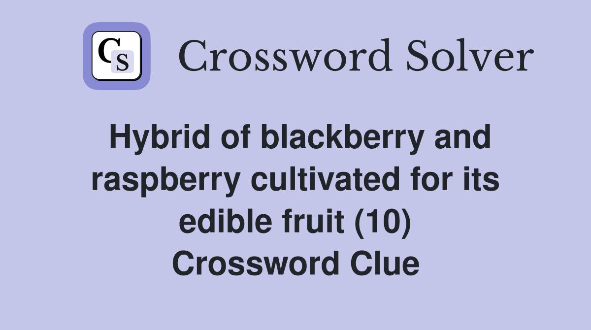 Hybrid of blackberry and raspberry cultivated for its edible fruit (10) Crossword Clue