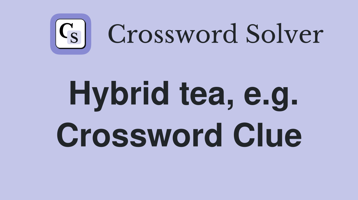 Hybrid tea, e.g. Crossword Clue