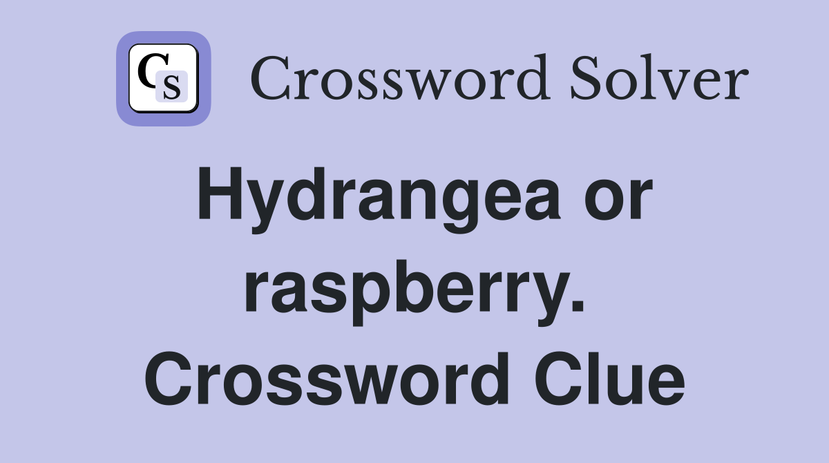 Hydrangea or raspberry. Crossword Clue
