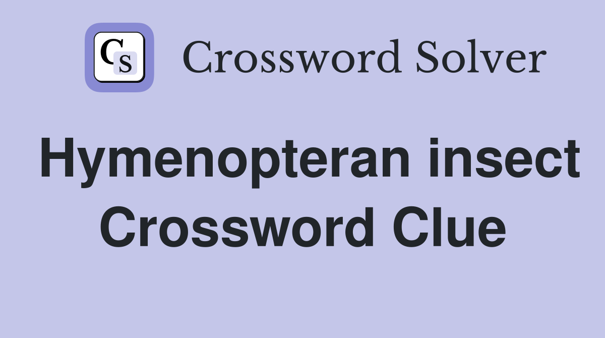 Hymenopteran insect Crossword Clue
