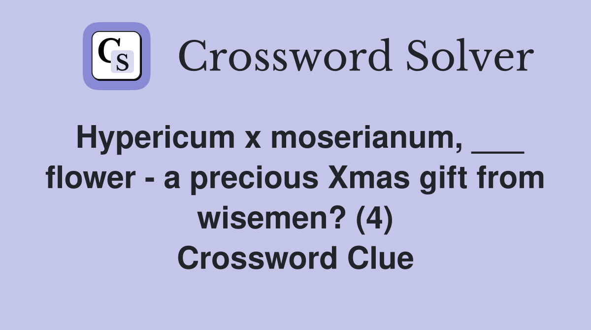 Hypericum x moserianum, ___ flower - a precious Xmas gift from wisemen? (4) Crossword Clue