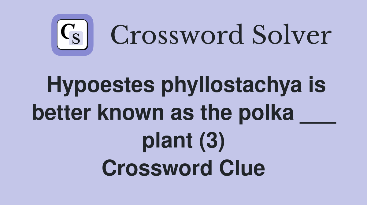 Hypoestes phyllostachya is better known as the polka ___ plant (3) Crossword Clue