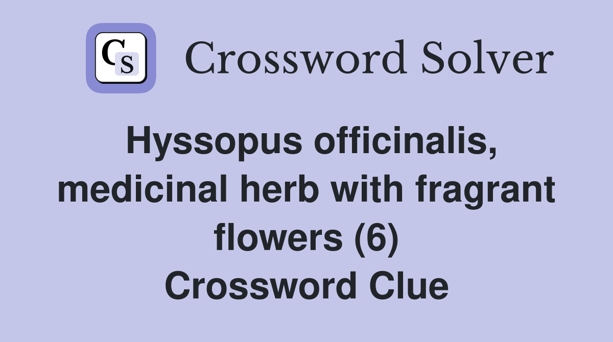 Hyssopus officinalis, medicinal herb with fragrant flowers (6) Crossword Clue