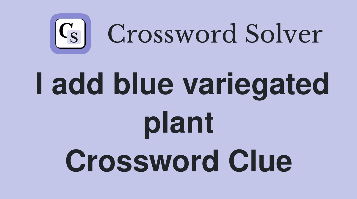 I add blue variegated plant Crossword Clue