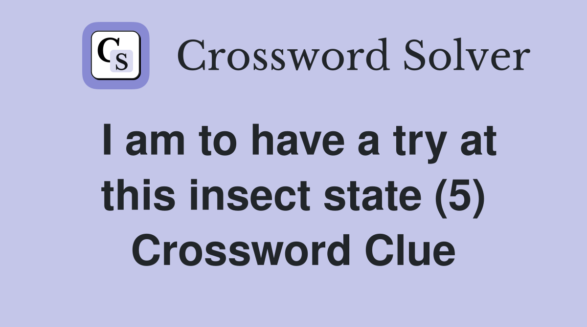 I am to have a try at this insect state (5) Crossword Clue