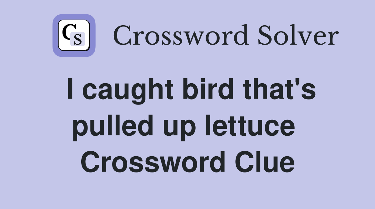 I caught bird that's pulled up lettuce  Crossword Clue