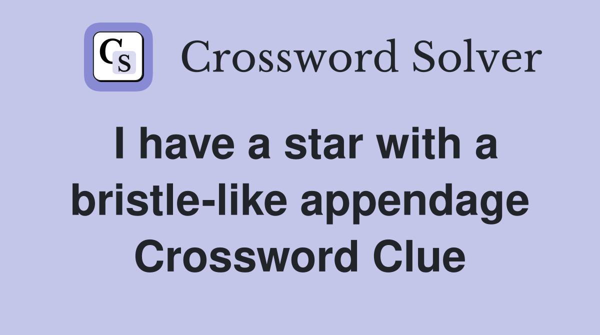 I have a star with a bristle-like appendage Crossword Clue