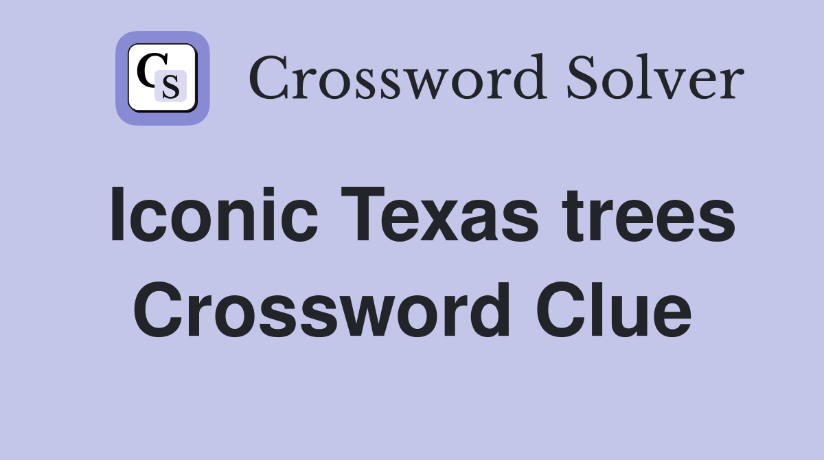 Iconic Texas trees Crossword Clue