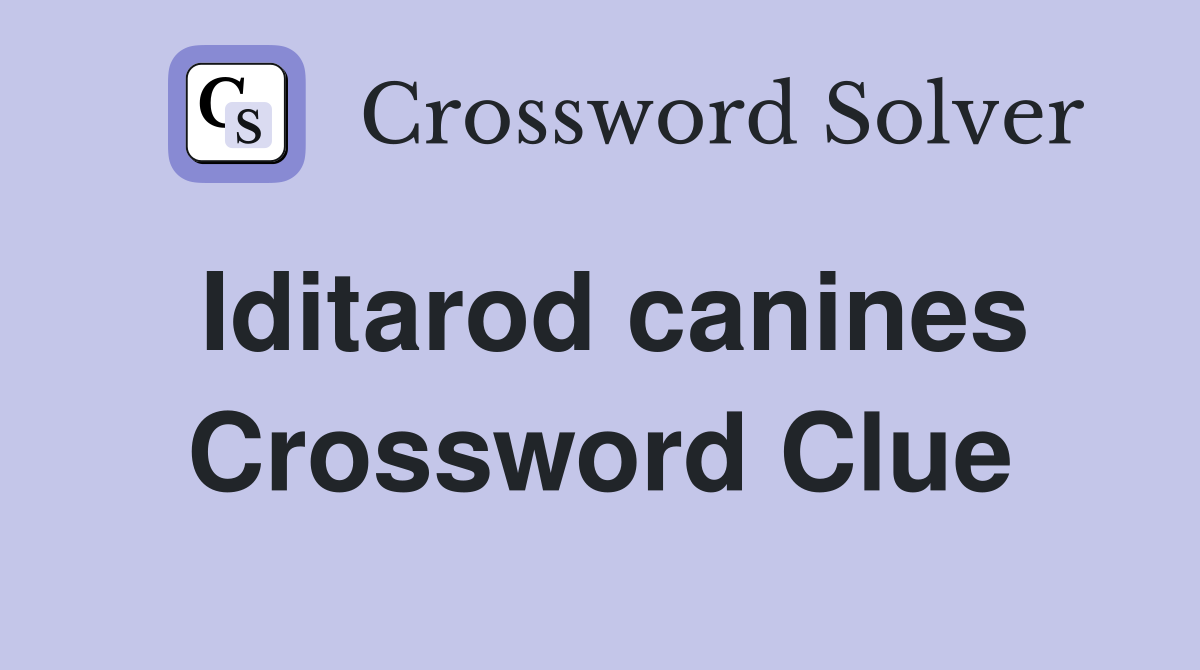 Iditarod canines Crossword Clue