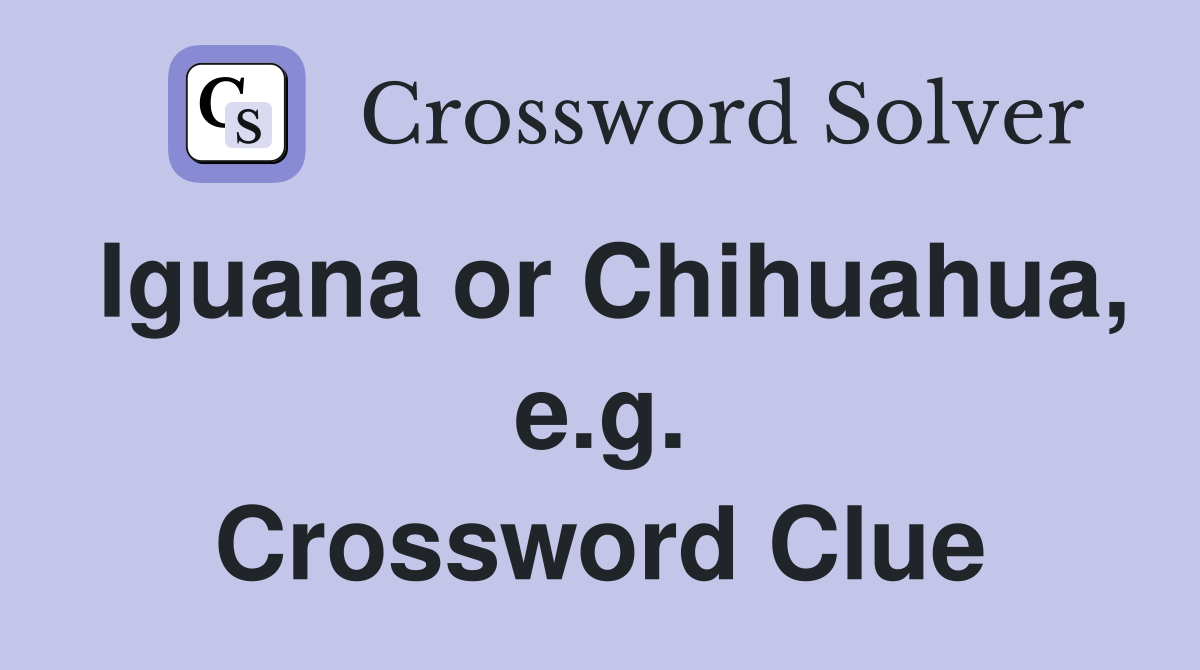 Iguana or Chihuahua, e.g. Crossword Clue
