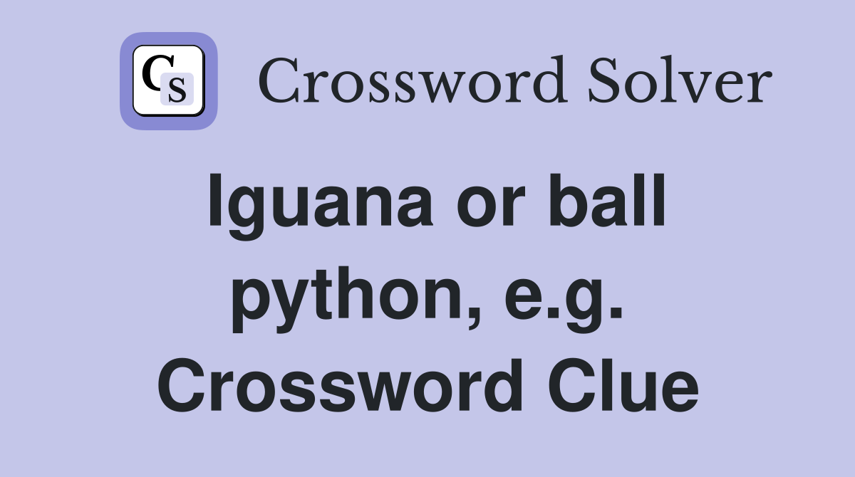 Iguana or ball python, e.g. Crossword Clue