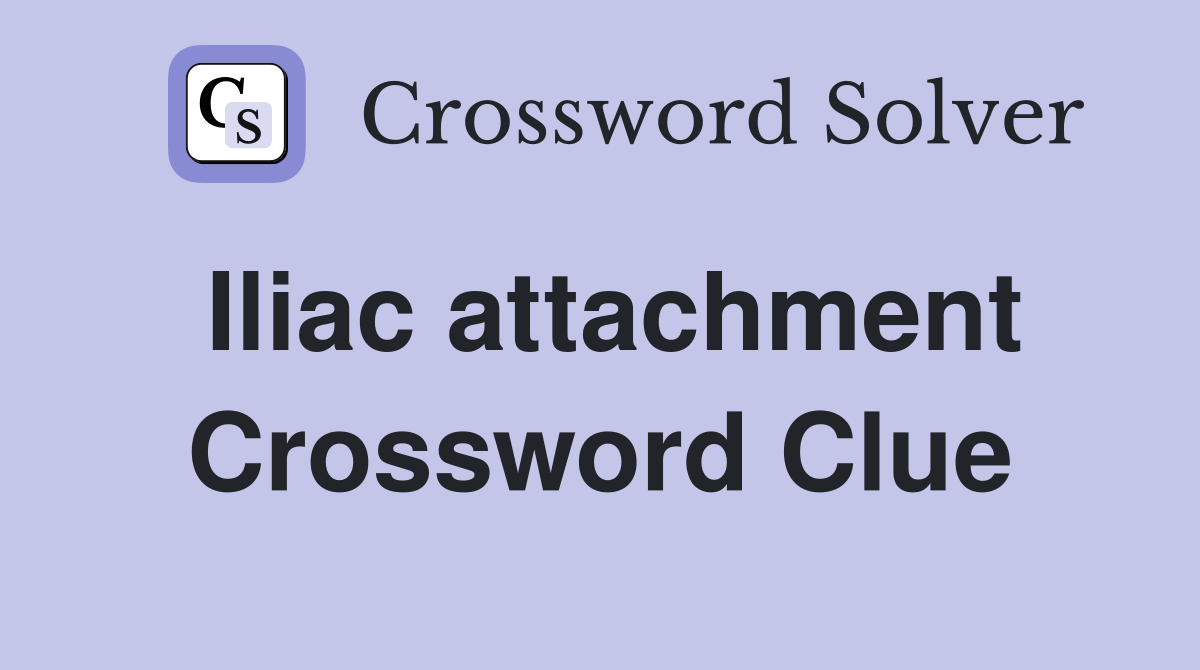 Iliac attachment Crossword Clue