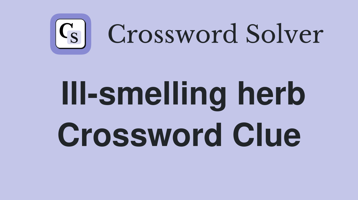 Ill-smelling herb Crossword Clue